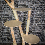 Naturkratzbaum 195 cm hoch Kratzbaum Natur Holz Design 2723 Katzenbaum