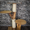 Naturkratzbaum 122 cm hoch Kratzbaum Natur Holz Design 2726 Katzenbaum