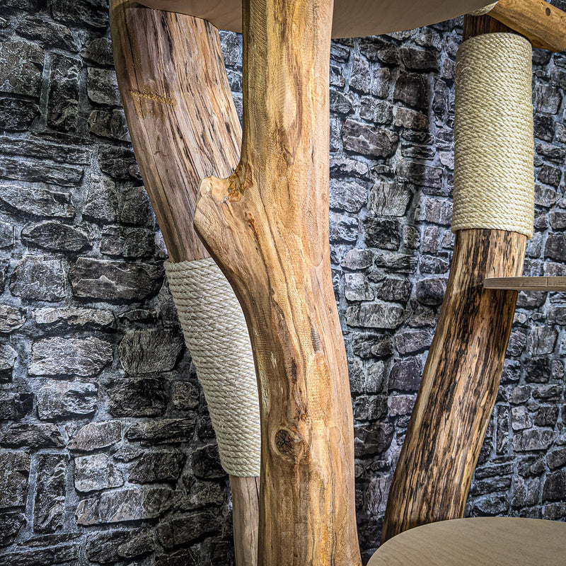 Naturkratzbaum 170 cm hoch Kratzbaum Natur Holz Design 2734 Katzenbaum