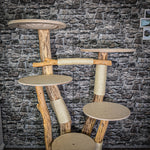 Naturkratzbaum 170 cm hoch Kratzbaum Natur Holz Design 2734 Katzenbaum