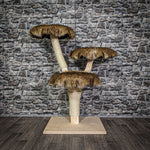 Naturkratzbaum 109 cm hoch Kratzbaum Natur Holz Design 2738 Katzenbaum