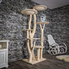 Naturkratzbaum 2772 Kratzbaum Natur Holz Design 206 cm hoch Katzenbaum