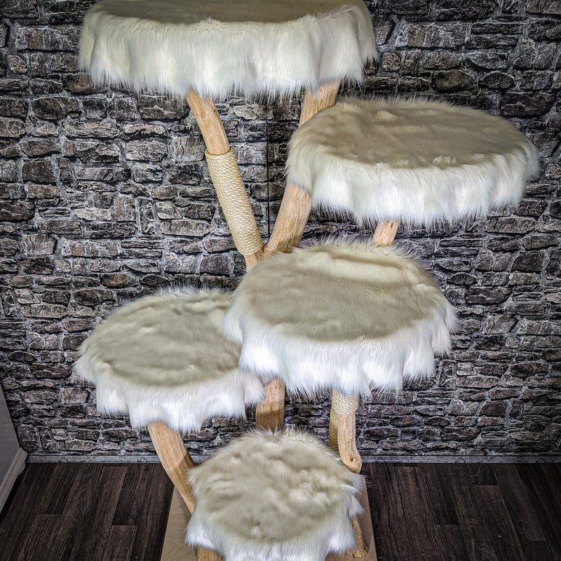 RESERVIERT Naturkratzbaum 2785 Kratzbaum Natur Holz Design 205 cm hoch Katzenbaum