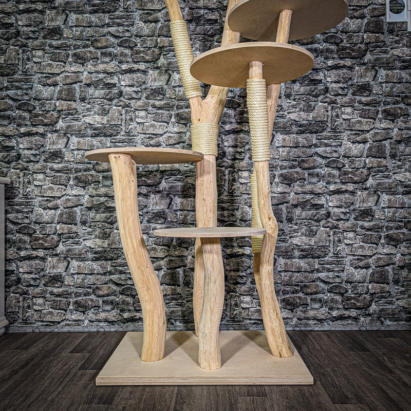 RESERVIERT Naturkratzbaum 2785 Kratzbaum Natur Holz Design 205 cm hoch Katzenbaum