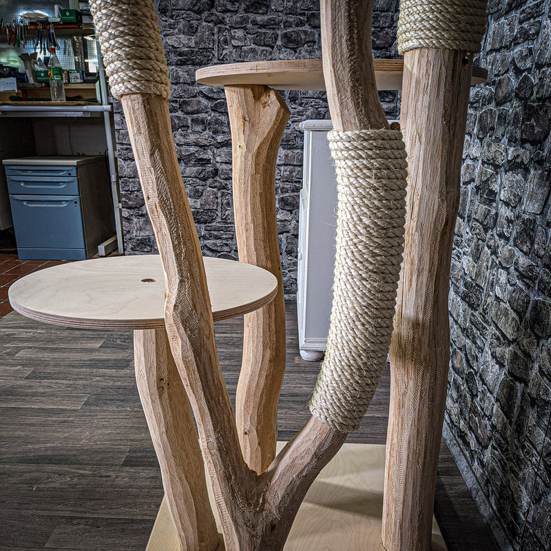 RESERVIERT Naturkratzbaum 2785 Kratzbaum Natur Holz Design 205 cm hoch Katzenbaum