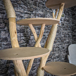 Naturkratzbaum 175 cm hoch Kratzbaum Natur Holz Design 2797 Katzenbaum