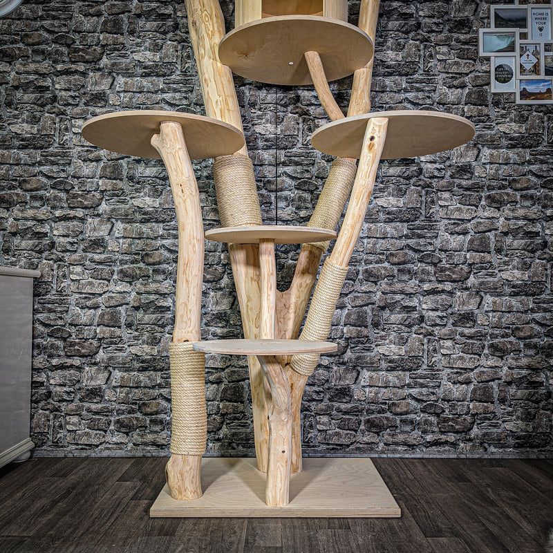 Naturkratzbaum 226 cm hoch Kratzbaum Natur Holz Design 2822 Katzenbaum