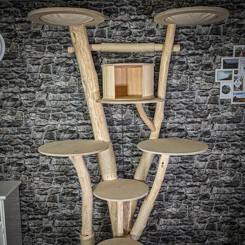 Naturkratzbaum 226 cm hoch Kratzbaum Natur Holz Design 2822 Katzenbaum