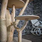 Naturkratzbaum 226 cm hoch Kratzbaum Natur Holz Design 2822 Katzenbaum