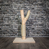 Kratzstamm 80 cm hoch Natur Holz Design Kratzbaum 2856 Naturkratzbaum