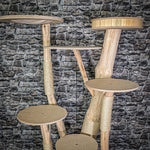Naturkratzbaum 172 cm hoch Kratzbaum Natur Holz Design 2924 Katzenbaum
