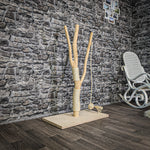 Kratzstamm 122 cm hoch Natur Holz Design Kratzbaum 2938 Naturkratzbaum