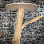 Naturkratzbaum 2948 Kratzbaum Natur Holz Design 204 cm hoch Katzenbaum