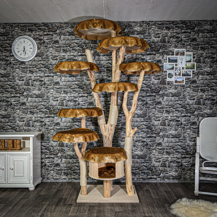 Naturkratzbaum 2952 Kratzbaum Natur Holz Design 228 cm hoch Katzenbaum