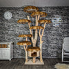 Naturkratzbaum 2952 Kratzbaum Natur Holz Design 228 cm hoch Katzenbaum