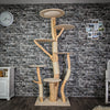 Naturkratzbaum 2954 Kratzbaum Natur Holz Design 205 cm hoch Katzenbaum