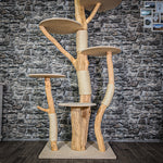 Naturkratzbaum 2954 Kratzbaum Natur Holz Design 205 cm hoch Katzenbaum