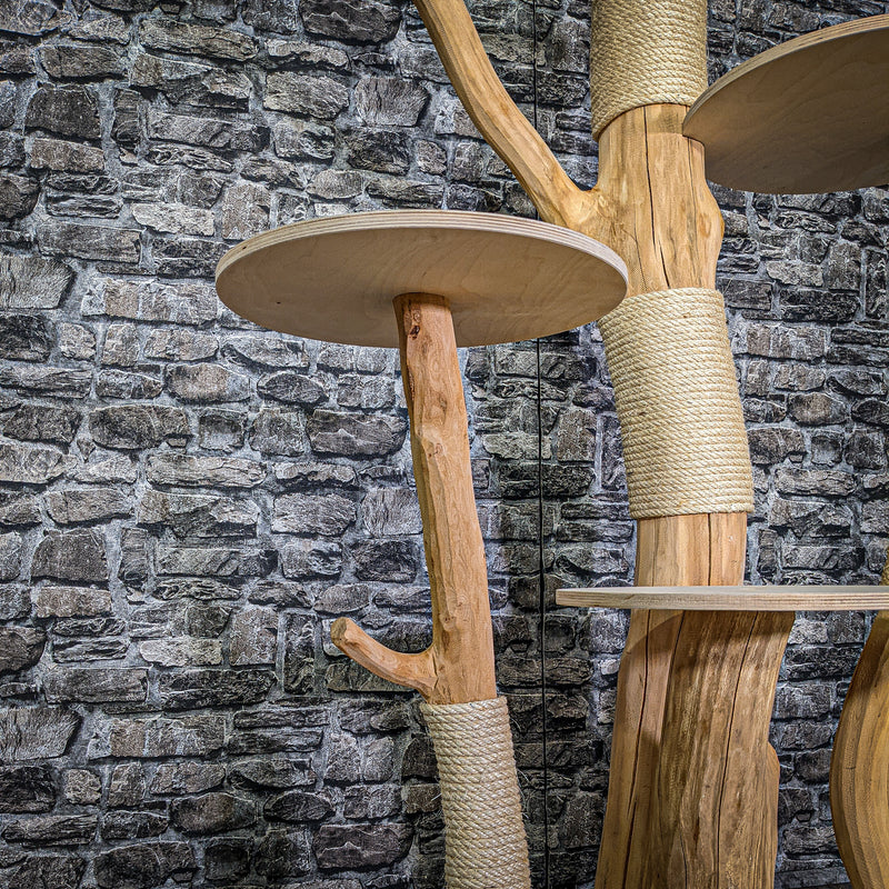 Naturkratzbaum 2954 Kratzbaum Natur Holz Design 205 cm hoch Katzenbaum