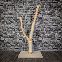 Kratzstamm 110 cm hoch Natur Holz Design Kratzbaum 2964 Naturkratzbaum