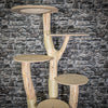RESERVIERT Naturkratzbaum 3017 Kratzbaum Natur Holz Design 175 cm hoch Katzenbaum