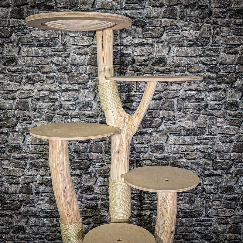 RESERVIERT Naturkratzbaum 3017 Kratzbaum Natur Holz Design 175 cm hoch Katzenbaum