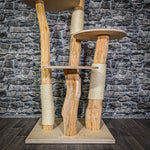 Naturkratzbaum 3019 Kratzbaum Natur Holz Design 144 cm hoch Katzenbaum