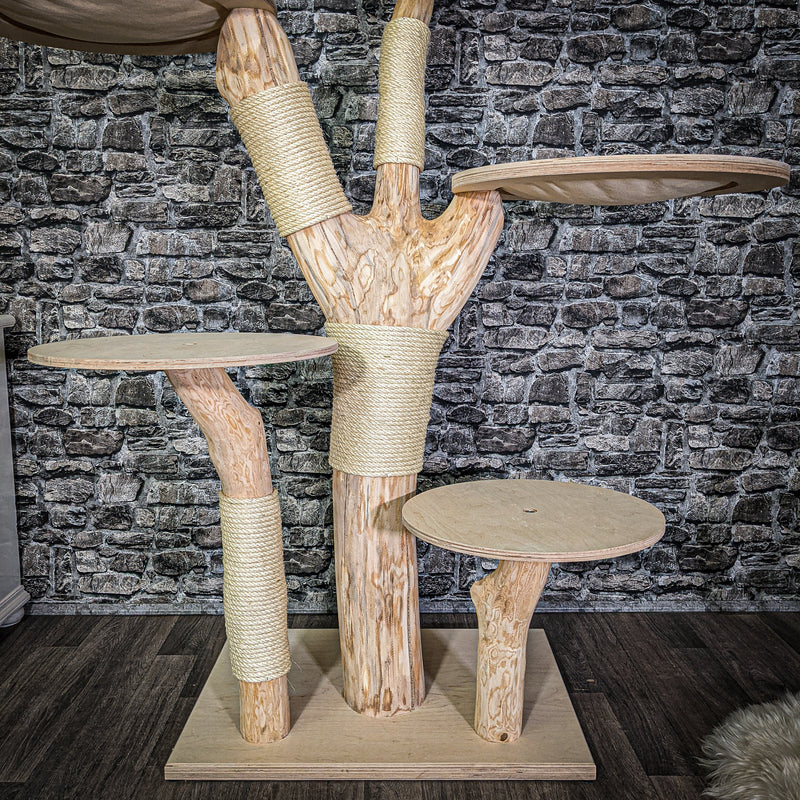 Naturkratzbaum 3036 Kratzbaum Natur Holz Design 165 cm hoch Katzenbaum