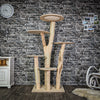 RESERVIERT + UMBAU Naturkratzbaum 3048 Kratzbaum Natur Holz Design 176 cm hoch Katzenbaum