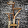 Naturkratzbaum 3122 Kratzbaum Natur Holz Design 193 cm hoch Katzenbaum