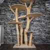 Naturkratzbaum 3132 Kratzbaum Natur Holz Design 208 cm hoch Katzenbaum