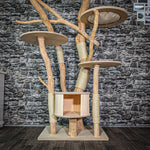 Naturkratzbaum 3138 Kratzbaum Natur Holz Design 190 cm hoch Katzenbaum