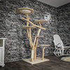 Naturkratzbaum 3143 Kratzbaum Natur Holz Design 170 cm hoch Katzenbaum