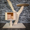 RESERVIERT Naturkratzbaum 3158 Kratzbaum Natur Holz Design 110 cm hoch Katzenbaum