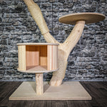 RESERVIERT Naturkratzbaum 3158 Kratzbaum Natur Holz Design 110 cm hoch Katzenbaum