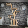 Naturkratzbaum 3226 Kratzbaum Natur Holz Design 192 cm hoch Katzenbaum