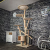 Naturkratzbaum 3227 Kratzbaum Natur Holz Design 206 cm hoch Katzenbaum