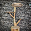 Naturkratzbaum 3242 Kratzbaum Natur Holz Design 160 cm hoch Katzenbaum