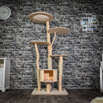 Naturkratzbaum 3290 Kratzbaum Natur Holz Design 174 cm hoch Katzenbaum