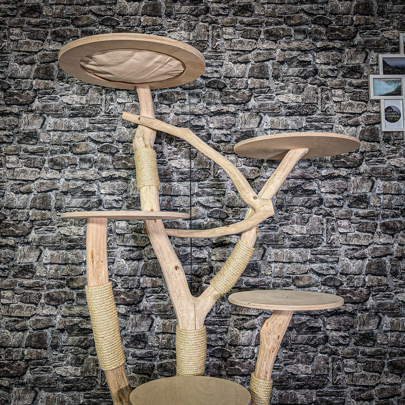 RESERVIERT Naturkratzbaum 3305 Kratzbaum Natur Holz Design 175 cm hoch Katzenbaum