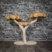 Naturkratzbaum 3306 Kratzbaum Natur Holz Design 85 cm hoch Katzenbaum