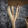 Naturkratzbaum 3348 Kratzbaum Natur Holz Design 206 cm hoch Katzenbaum