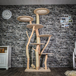 Naturkratzbaum 3362 Kratzbaum Natur Holz Design 208 cm hoch Katzenbaum