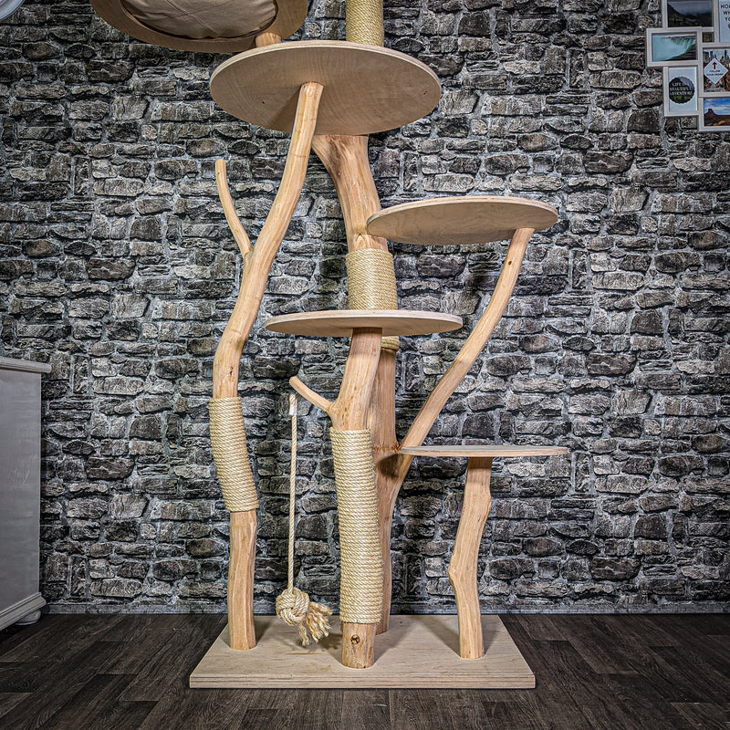 Naturkratzbaum 3362 Kratzbaum Natur Holz Design 208 cm hoch Katzenbaum