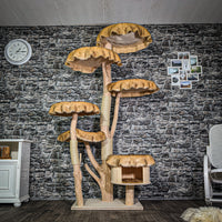 Naturkratzbaum 3368 Kratzbaum Natur Holz Design 204 cm hoch Katzenbaum