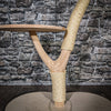 Naturkratzbaum 3397 Kratzbaum Natur Holz Design 82 cm hoch Katzenbaum