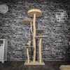 Naturkratzbaum 3452 Kratzbaum Natur Holz Design 176 cm hoch Katzenbaum
