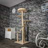 Naturkratzbaum 3452 Kratzbaum Natur Holz Design 176 cm hoch Katzenbaum