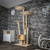 RESERVIERT - FR - 07.11 - Naturkratzbaum 3494 Kratzbaum Natur Holz Design 196 cm hoch Katzenbaum