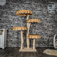 RESERVIERT + ÄNDERUNGEN - Naturkratzbaum 3506 Kratzbaum Natur Holz Design 145 cm hoch Katzenbaum