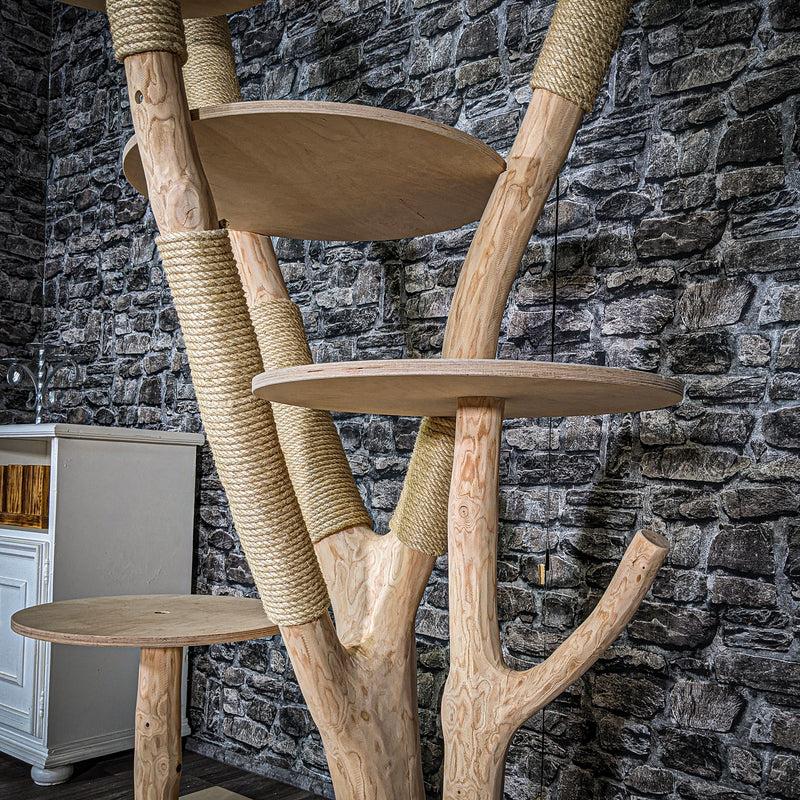 Naturkratzbaum 3513 Kratzbaum Natur Holz Design 222 cm hoch Katzenbaum